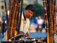 கரும்பு சாப்பிட்ட உடன் நாக்கில் எரிச்சல் ஏற்படுகிறதா..? இது தான் காரணம்..!
