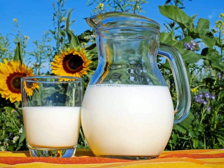 Cow Milk Vs Buffalo Milk Which Is Richer In Protein And Calcium गाय या भैंस... किसके दूध में होता है ज्यादा कैल्शियम? हड्डियों के लिए कौन सा है ज्यादा फायदेमंद?