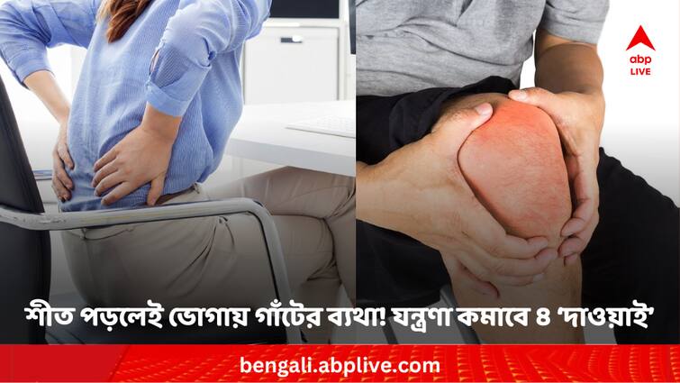 Expert tips to manage joint pain in winter Joint Pain in Winter: শীত পড়লেই ভীষণ ভোগায় গাঁটের ব্যথা ! যন্ত্রণা কমাতে ৪ ‘দাওয়াই’ চিকিৎসকের