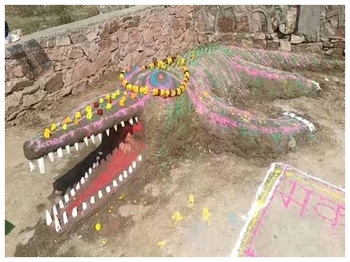 KOTA NEWS On Makar Sankranti bengali society worship is done by making a crocodile ANN कोटा में यहां पर होती है मगरमच्छ के स्वरूप की पूजा, जानें क्या है मान्यता?