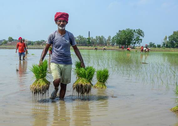 Kisan Credit Card: किसान क्रेडिट कार्ड के ये हैं बड़े फायदे, बिना गारंटी मिलता है इतने लाख का लोन