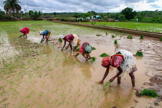 Kisan Credit Card: किसान क्रेडिट कार्ड के ये हैं बड़े फायदे, बिना गारंटी मिलता है इतने लाख का लोन