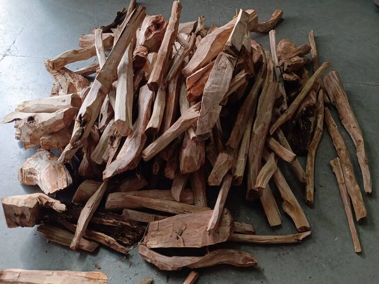 Crime news 3 persons including a husband and wife, were arrested for smuggling 13.5 kg of sandalwood from Bangalore ​- TNN Crime: சந்தனக் கட்டையை துண்டுகளாக்கி கட்டைப் பையில் போட்டு கடத்தல் - 3 பேர் கைது