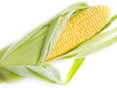 Corn Benefits : मका खाण्याचे 'हे' आहेत आरोग्यदायी फायदे!