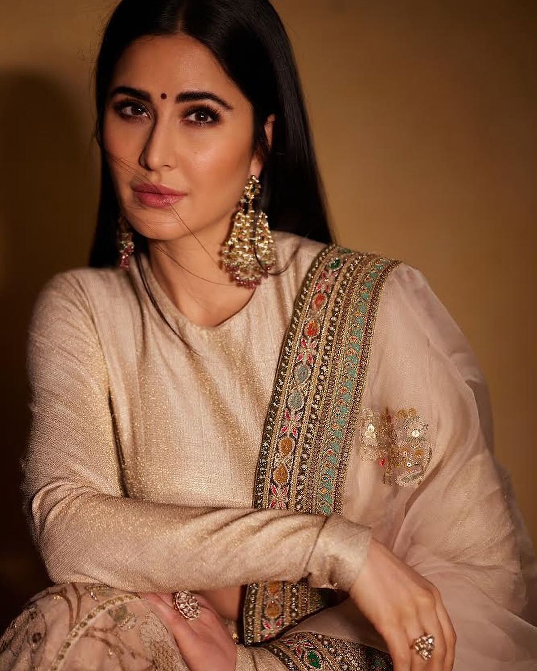 Buy Katrina Kaif in Sabyasaachi Georgette Saree. Soft Heavy Thread  Embroidery Partywear Sari, Wedding Bridal Bollywood Saree Online in India -  Etsy