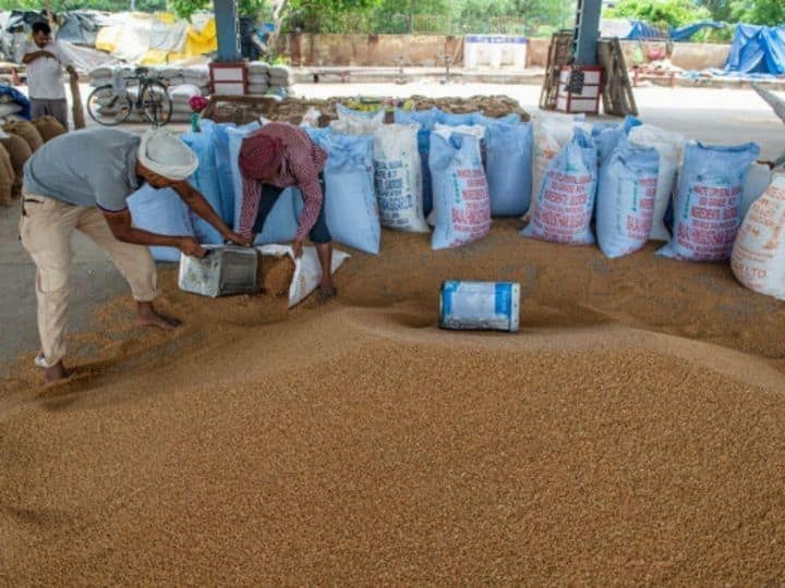 Wheat Import Piyush Goyal India Has No Plans Wheat Production India Has No Plans To Import Wheat, Says Piyush Goyal