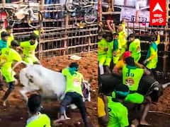 Avaniyapuram Jallikattu 2024 - அதகளம் செய்த காளைகள்.. பரிசுகளை அள்ளிய காளையர்கள்! அவனியாபுரம் பரபர..