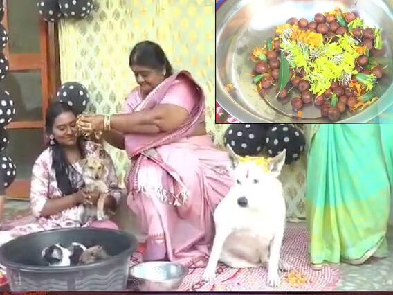 Bhogi Pallu to Dogs | వీధి కుక్కలకు భోగి పండ్లు.. ఎక్కడో తెలుసా..!| ABP Desam