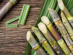 கரும்பு சாப்பிட்ட உடன் நாக்கில் எரிச்சல் ஏற்படுகிறதா..? இது தான் காரணம்..!