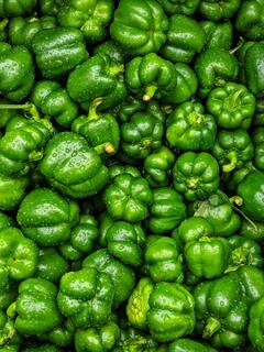 Capsicum : 'शिमला मिरची' चे गुणधर्म तुम्हाला माहीत आहेत का?