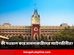 'যাঁদের চাকরি বাতিলের নির্দেশ দেওয়া হয়, সিঙ্গল বেঞ্চ তাঁদের কথা শোনেনি', সওয়াল মামলাকারীদের আইনজীবীর