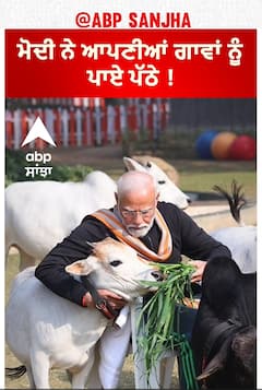 Prime Minister feeds cows | ਮੋਦੀ ਨੇ ਆਪਣੀਆਂ ਗਾਵਾਂ ਨੂੰ ਪਾਏ ਪੱਠੇ !