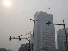 Delhi Weather: मंगलवार 16 जनवरी को कैसा रहेगा दिल्ली का मौसम? IMD ने दिया ये अपडेट, जान लें