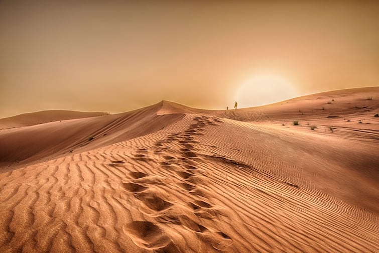 Know where the world's largest desert is Sahara Desert: ਜਾਣੋ ਕਿੱਥੇ ਹੈ ਦੁਨੀਆਂ ਦਾ ਸਭ ਤੋਂ ਵੱਡਾ ਮਾਰੂਥਲ?