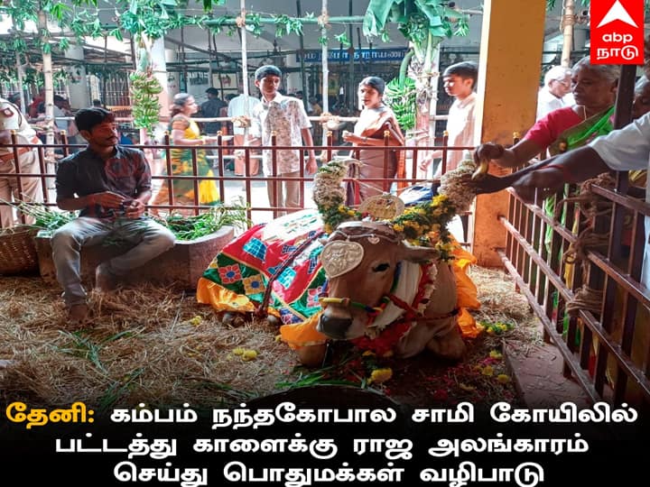 தேனி மாவட்டம் கம்பம், ஊரின் மையப்பகுதியில் “நந்தகோபாலன் தம்பிரான் மாட்டுத்தொழுவம்” எனும் மாடுகளுக்கான கோயில் உள்ளது.