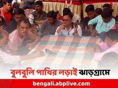দম বাড়াতে আখের রস, প্রায় ৪০০ বছর ধরে বুলবুলি পাখির লড়াই ঝাড়গ্রামে