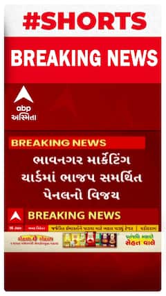 Bhavnagar News : માર્કેટિંગ યાર્ડમાં ભાજપ સમર્થિત પેનલનો થયો વિજય