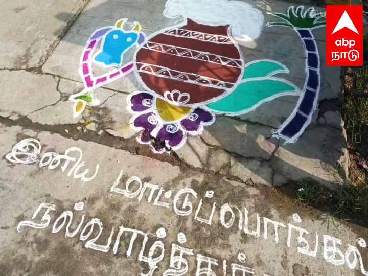 Mattu Pongal : கொம்பு வச்ச சிங்கம்டா.. மாடுகளை கொண்டாடும் விவசாய பெருங்குடி மக்கள்.. அலைமோதும் மக்கள் கூட்டம்..