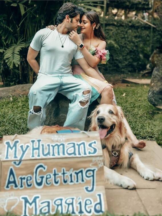 ਟੀਵੀ ਦੀ ਇਹ ਨਾਗਿਨ ਬਣਨ ਜਾ ਰਹੀ ਦੁਲਹਨ