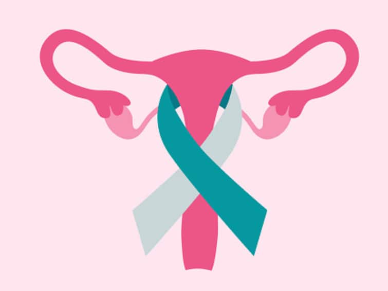 Cervical Cancer Awareness Month Know Importance Of Cervical Screening Based On Age Groups Why Is Cervical Screening Important? Know Guidelines For Women Belonging To Different Age Groups