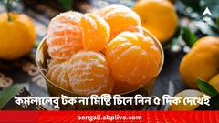 Orange sour or sweet: কমলালেবু টক না মিষ্টি বোঝা যায় খুব সহজে !