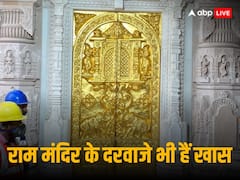 हाथी, कमल और मोर...Ram Mandir में लग गए सभी 14 स्वर्ण मंडित द्वार, देखिए PHOTOS
