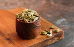 Cardamom plant: ਇਲਾਇਚੀ ਦਾ ਪੌਦਾ ਕਿੰਨੇ ਦਿਨ 'ਚ ਹੋ ਜਾਵੇਗਾ ਤਿਆਰ? ਜਾਣੋ ਲਾਉਣ ਦਾ ਤਰੀਕਾ