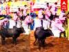 Palamedu Jallikattu 2024 : ’எல்லாம் மேல ஏறிக்க’’பீதியில் மாடுபிடி வீரர்கள்களத்தில் கரடிக்கல் காரிப்பய