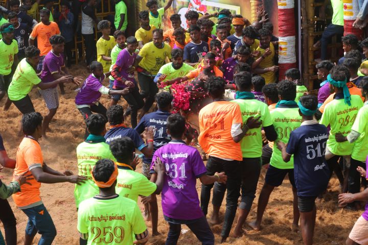 Jallikattu 2024: திருச்சி சூரியூர் ஜல்லிக்கட்டில் 73 பேருக்கு காயம்! 13 பேர் மருத்துவமனையில் அனுமதி!