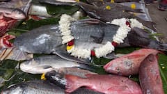 Fish Fair At Bandel : মৎস্যপ্রেমী বাঙালির স্বর্গরাজ্য ! রাঘব বোয়াল থেকে চুনোপুঁটি, ব্যান্ডেল মাতল মাছের মেলায়