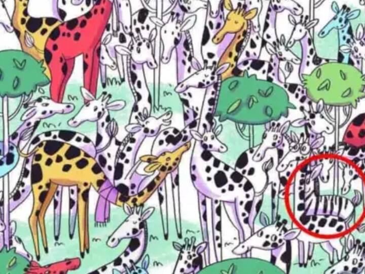 अगर आपको इसका सही जवाब नहीं पता चला तो हम आपको इस जवाब बता रहे हैं.