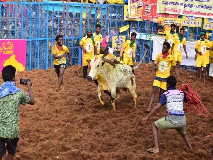 பாலமேடு ஜல்லிக்கட்டு நிறைவு.. 3-வது முறையாக முதல் பரிசு கார் வென்ற பிரபாகரன்..