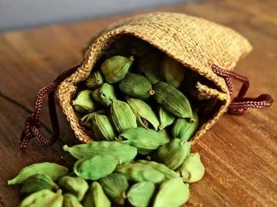 Cardamom plant: ਕੀ ਤੁਹਾਨੂੰ ਪਤਾ ਹੈ ਕਿ ਇਲਾਇਚੀ ਦੇ ਪੌਦੇ ਨੂੰ ਤਿਆਰ ਹੋਣ ਵਿਚ ਕਿੰਨੇ ਦਿਨ ਲੱਗਦੇ ਹਨ ਜਾਂ ਇਸ ਨੂੰ ਉਗਾਉਣ ਲਈ ਸਹੀ ਤਾਪਮਾਨ ਕੀ ਹੈ?