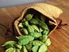 Cardamom plant: ਇਲਾਇਚੀ ਦਾ ਪੌਦਾ ਕਿੰਨੇ ਦਿਨ 'ਚ ਹੋ ਜਾਵੇਗਾ ਤਿਆਰ? ਜਾਣੋ ਲਾਉਣ ਦਾ ਤਰੀਕਾ