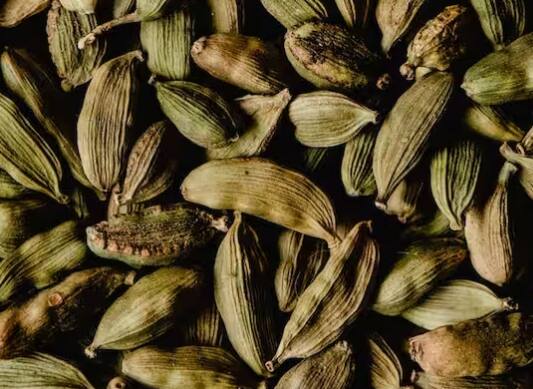 ਇੱਕ ਵਾਰ ਜਦੋਂ ਪੌਦਾ ਉਗ ਜਾਂਦਾ ਹੈ, ਤੁਹਾਨੂੰ ਇਸਨੂੰ ਨਿਯਮਿਤ ਤੌਰ 'ਤੇ ਪਾਣੀ ਦੇਣਾ ਅਤੇ ਖਾਦ ਦੇਣਾ ਸ਼ੁਰੂ ਕਰਨਾ ਚਾਹੀਦਾ ਹੈ। ਪੌਦੇ ਨੂੰ ਸੁੱਕਣ ਤੋਂ ਪਹਿਲਾਂ ਚੰਗੀ ਤਰ੍ਹਾਂ ਪਾਣੀ ਦੇਣਾ ਮਹੱਤਵਪੂਰਨ ਹੈ। ਖਾਦ ਦੇਣ ਲਈ ਤੁਸੀਂ ਕਿਸੇ ਵੀ ਆਮ ਮਲਟੀਪਰਪਜ਼ ਖਾਦ ਦੀ ਵਰਤੋਂ ਕਰ ਸਕਦੇ ਹੋ।