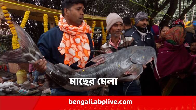 Hooghly News Fish Mela Uttarayan Mela At Bandal Howrah Hooghly News : ৫০ কিলোর পেল্লায় মাছ থেকে চুনোপুটি, ব্যান্ডেলের মাছের মেলায় মন মজল বাঙালির