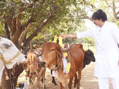 Pawan Kalyan With Cows : తన వ్యవసాయక్షేత్రంలో ఆవులకు పూజ చేసిన జనసేనాని | ABP Desam