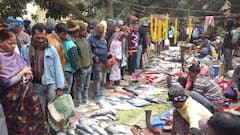 Fish Fair At Bandel : মৎস্যপ্রেমী বাঙালির স্বর্গরাজ্য ! রাঘব বোয়াল থেকে চুনোপুঁটি, ব্যান্ডেল মাতল মাছের মেলায়