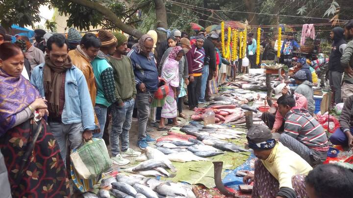 শীত মানেই মেলা আর উৎসব। তবে এই মেলা এক্কেবারে অন্যরকম। মৎস্যবিলাসী বাঙালির জন্য এই মেলা একেবারে স্বর্গরাজ্য।