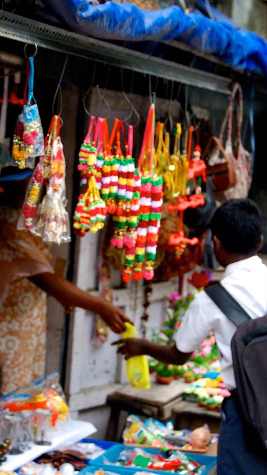 इन सभी जिलों में कुछ जिले बड़े