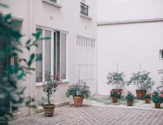 Agriculture: ਸਰਦੀਆਂ 'ਚ ਘਰ 'ਚ ਲੱਗੇ ਪੌਦਿਆਂ ਨੂੰ ਕਦੋਂ ਦੇਣਾ ਚਾਹੀਦਾ ਪਾਣੀ? ਇੱਥੇ ਜਾਣੋ ਸਹੀ ਸਮਾਂ