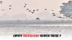 Weather Update: আগামী ২৪ ঘণ্টায় বাড়তে পারে তাপমাত্রা, বৃষ্টি নিয়েও বার্তা হাওয়া অফিসের
