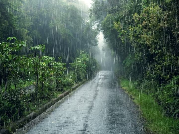How is artificial rain how different is it from real rain कैसे होती है आर्टिफिशियल बारिश, देखिए असल बारिश से है कितनी अलग