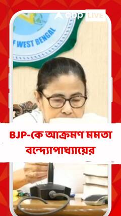 'বিজেপি সবচেয়ে বড় চোর, বড় বড় ডাকাত, গুণ্ডা এজেন্সিদের সুরক্ষায় আছে', আক্রমণ মমতা বন্দ্যোপাধ্যায়ের