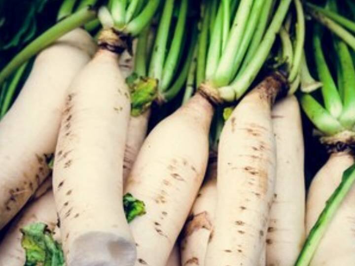 These foods you must avoid eating with radish मूली खाने के बाद इन चीजों को नहीं खाना चाहिए, फायदे की जगह शरीर के लिए हो सकता है नुकसान