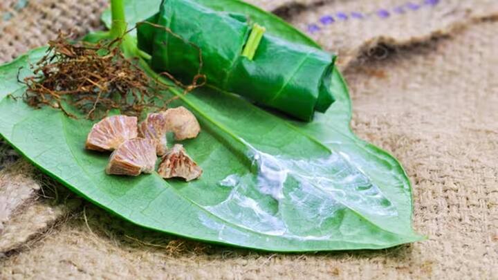 શનિવારના દિવસે પીપળાના 5 પાન અને 8 આખા સોપારીના પાનને સાંઠા સાથે લઈ એક દોરામાં બાંધી દો. હવે તેને પૂર્વ દિશામાં દુકાનમાં બાંધો. આ ઓછામાં ઓછા 5 શનિવાર સુધી સતત કરવું જોઈએ. આ પછી, જૂના પાંદડાઓને નદી અથવા કૂવામાં તરતા રાખો. આ ઉપાયો કરવાથી વેપારમાં વૃદ્ધિ થાય છે.