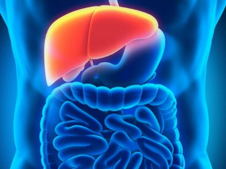 Here's what your snoring habit is telling you about your liver Ways Fatty liver can affect your mental well being Liver Health: குறட்டை, தூக்கமின்மை பிரச்னை! கல்லீரல் ஆரோக்கியத்துடன் தொடர்பு உடையதா?
