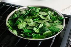 spinach Benefit : शुक्राणू वाढवण्यापासून वजन कमी करण्यापर्यंत पालकाचे अनेक फायदे!