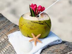 Coconut water: ਕੀ ਸਰਦੀਆਂ 'ਚ ਗਰਭਵਤੀ ਔਰਤਾਂ ਨੂੰ ਪੀਣਾ ਚਾਹੀਦਾ ਹੈ ਨਾਰੀਅਲ ਪਾਣੀ?