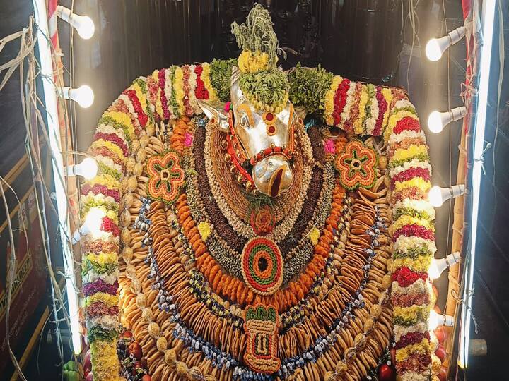 வண்ணமலர்களால் காட்சி தரும் நந்தி பகவான்